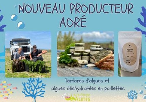 Aoré, producteurs de tartares d'algues et d'algues déshydratées